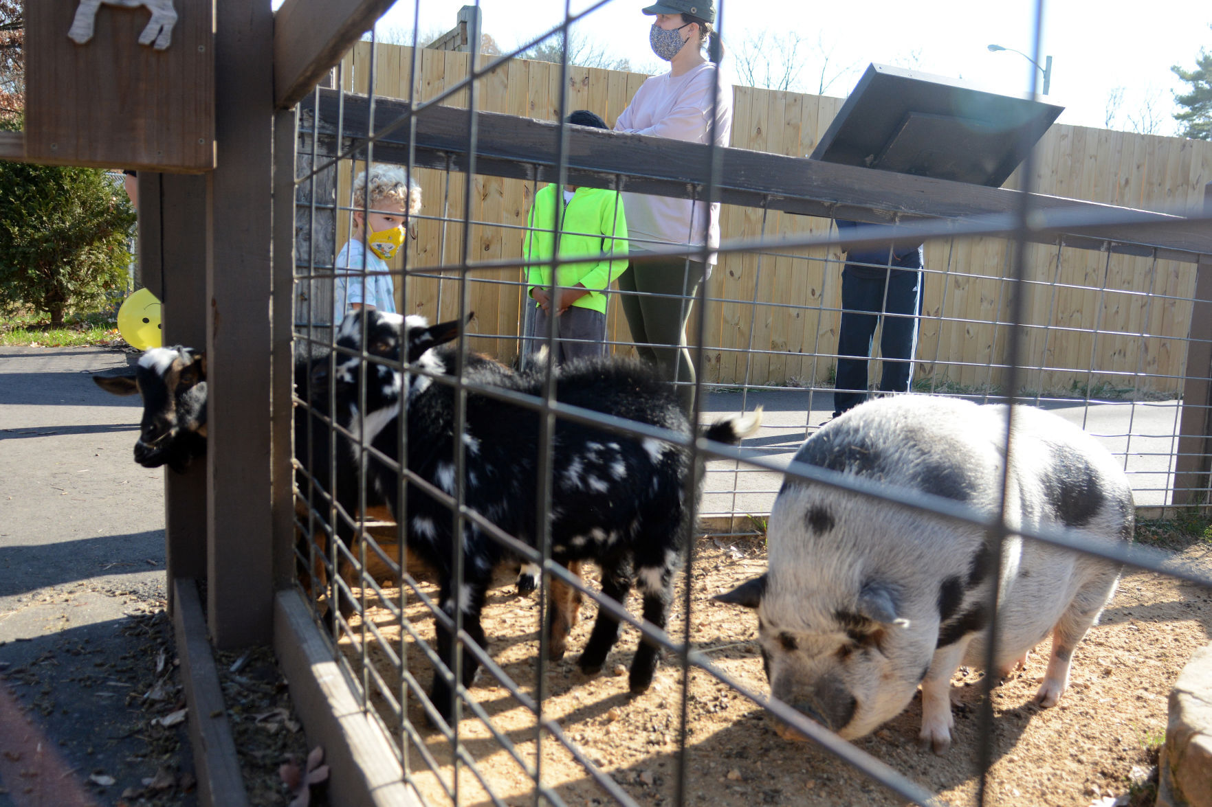 Scenes from Baraboo's Ochsner Park Zoo, Nov. 7, 2020